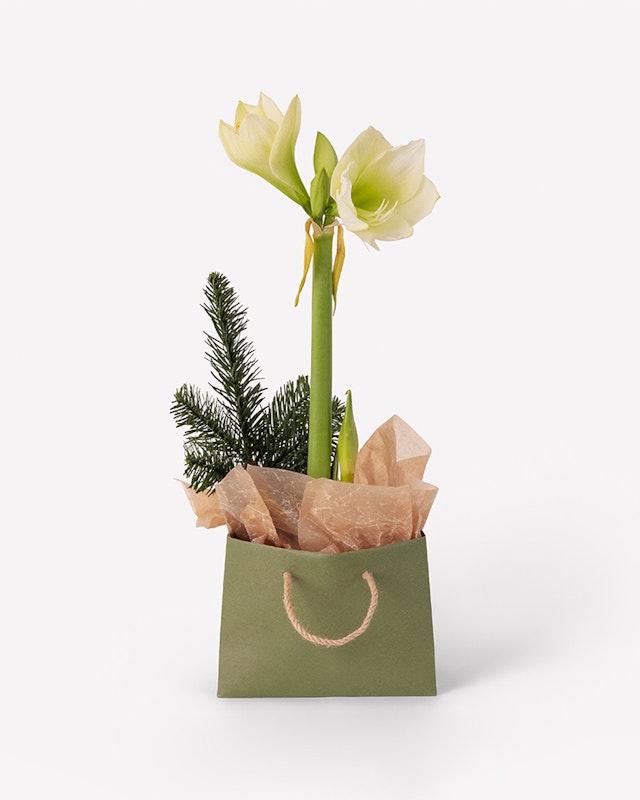 1750959075-1202857-2025