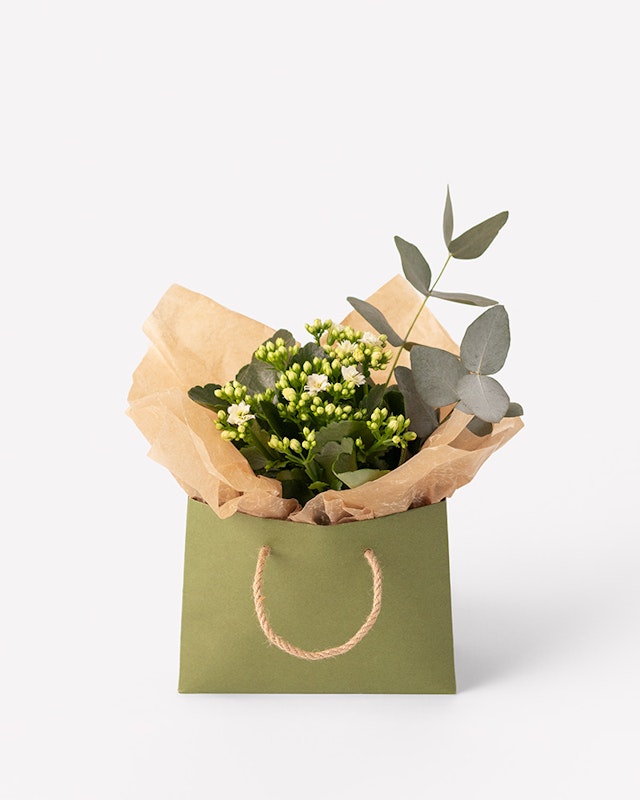 1750959075-1202857-2025