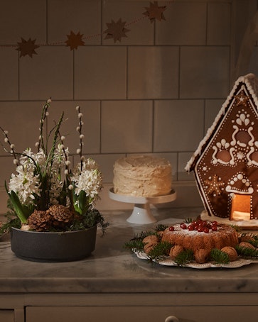 Julgrupp hyacintfrossa