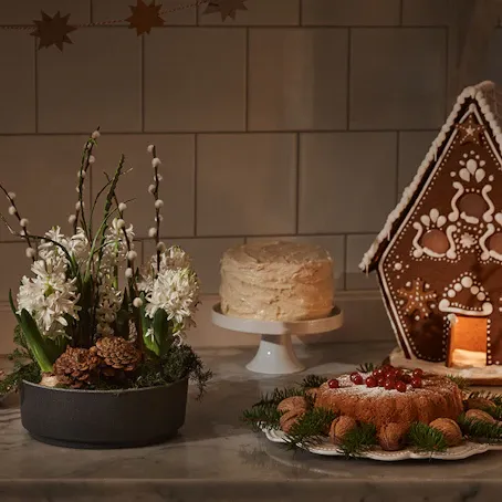 Julgrupp hyacintfrossa