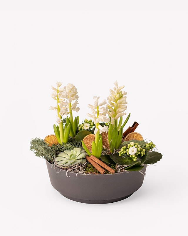 1750959075-1202857-2025