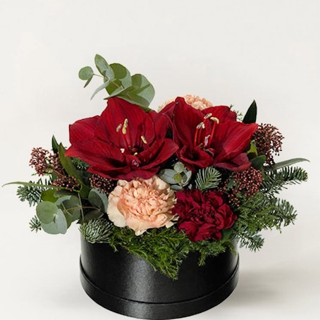 Midvinterboxen, stor