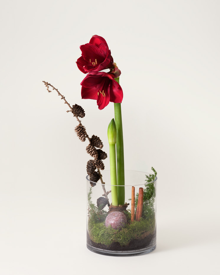 Julgrupp Midvinterfest