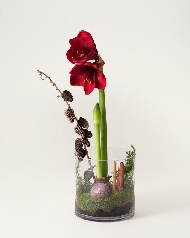 1750959075-1202857-2025