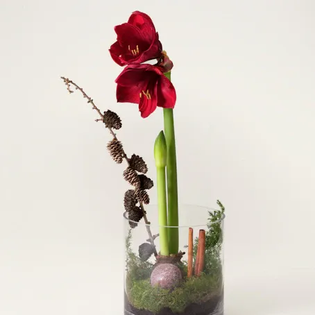 Julgrupp Midvinterfest