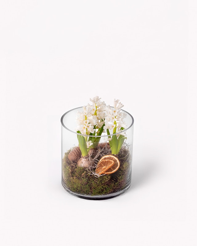 1763374906-1203127-vinterfargring-2025