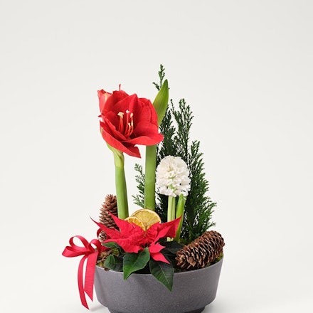 Julgrupp klassisk jul, mellan