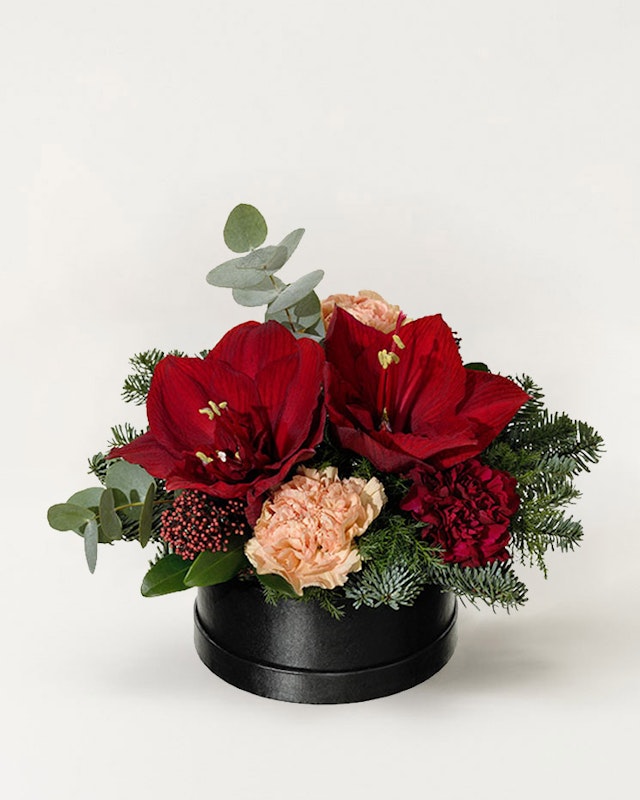 1750959075-1202857-2025