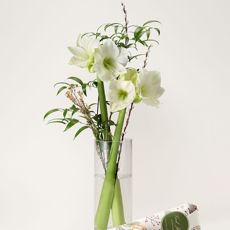 Vinterglädje med julstrut