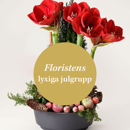 Floristens lyxiga julgrupp