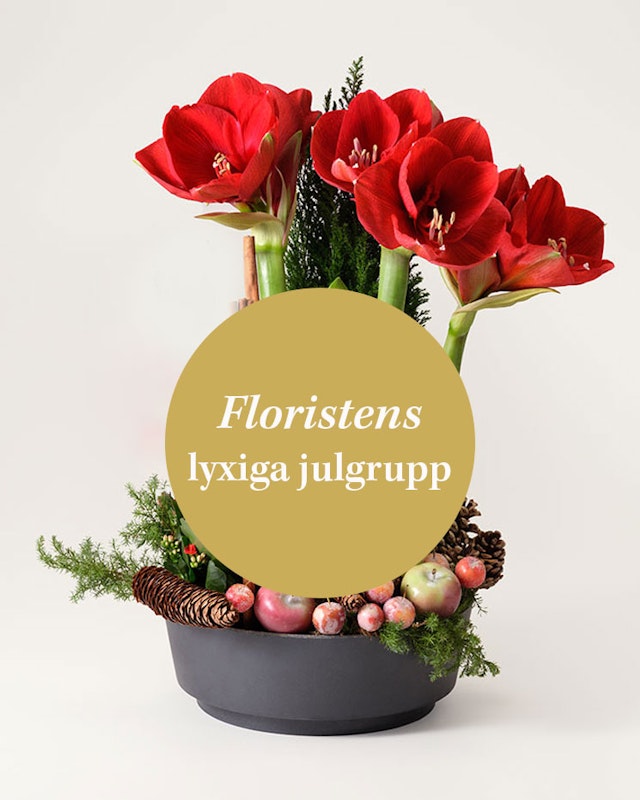 1764077810-1260700-2024-floristens-lyxgrupp-4-5
