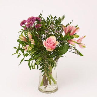 Rosa favorit