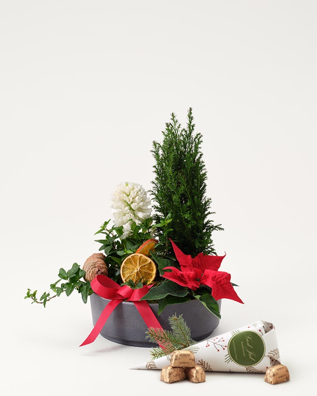 1750959075-1202857-2025