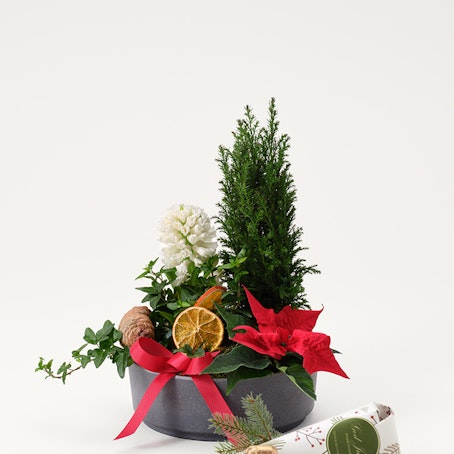 Julgrupp klassisk jul liten med julpraliner