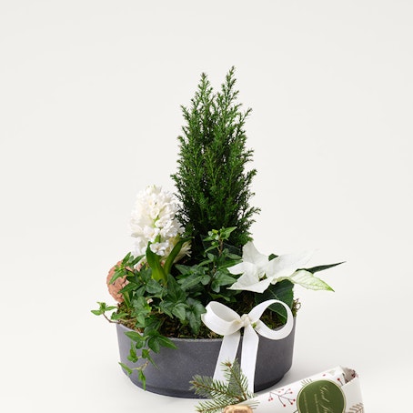 Julgrupp klassisk vinter liten med julpraliner