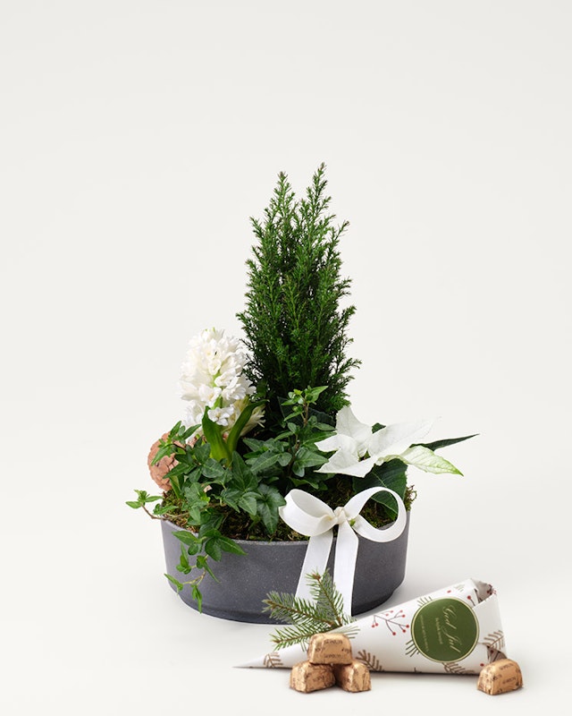 1765988328-1260711-1112_julgrupp_klassisk_vinter_liten_2025