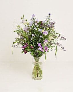 Violett harmoni