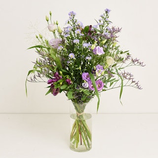 Violett harmoni