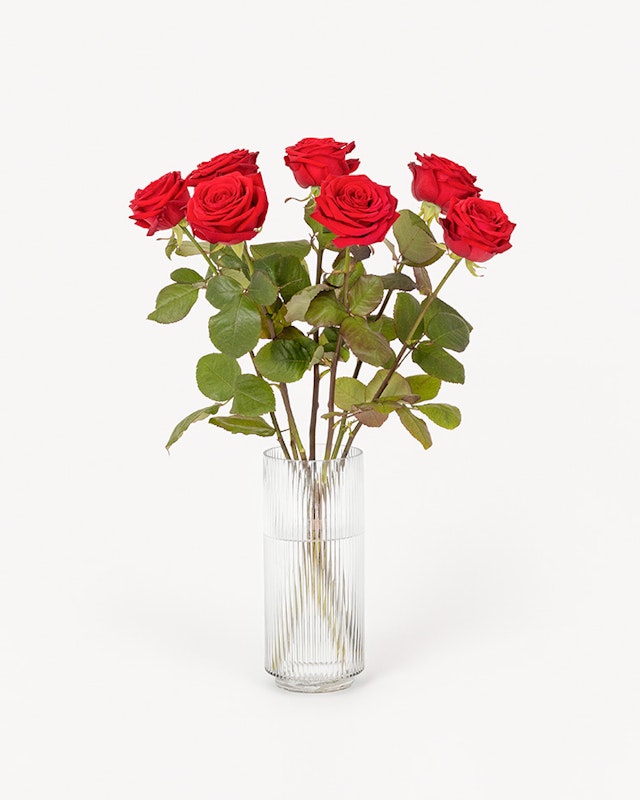 1768410144-1201067-2026