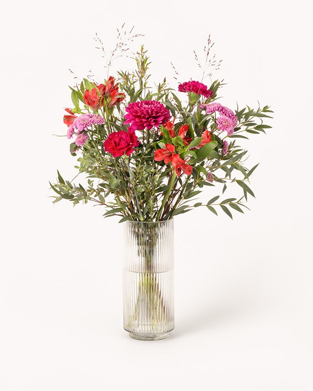 1768410243-1203154-fargstark-glod-mellan-2026