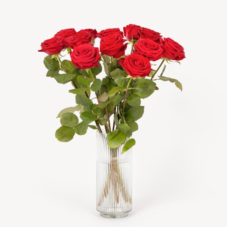 12 röda rosor