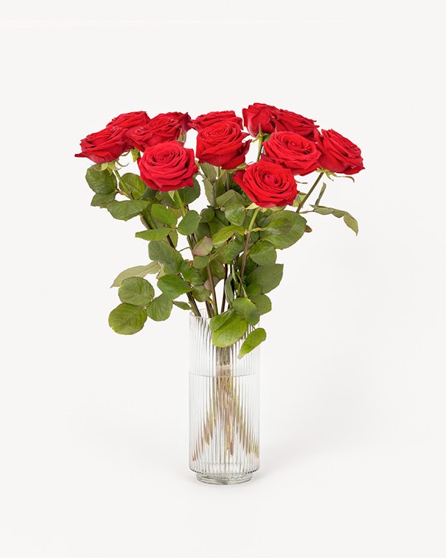 1768410302-1201066-2026