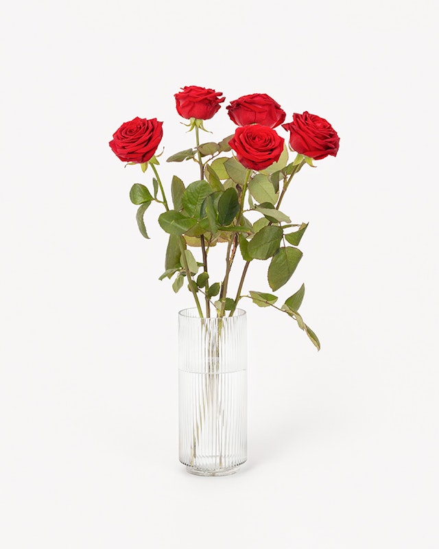 1750959075-1202857-2025