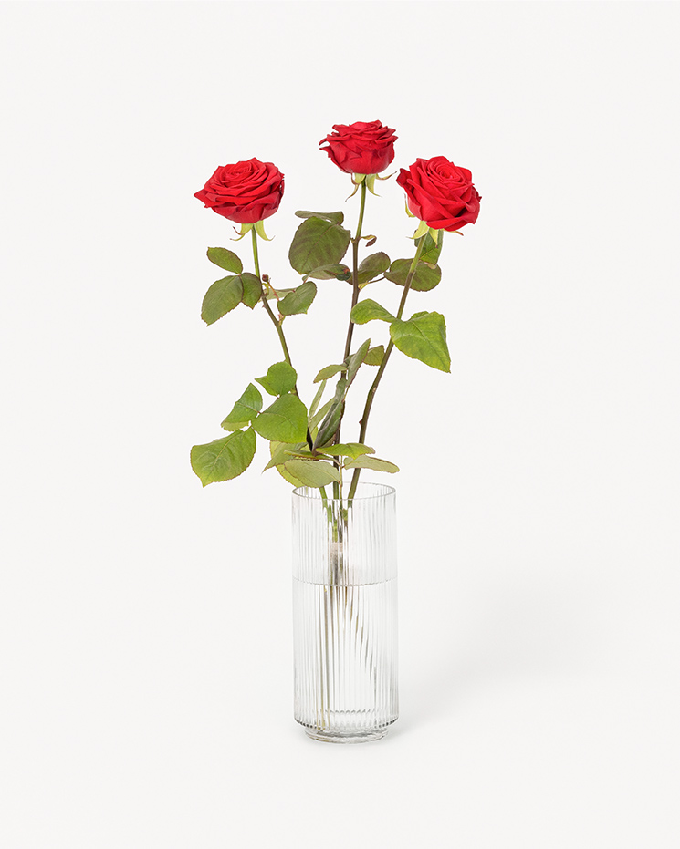 3 röda rosor
