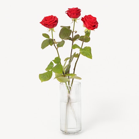 3 röda rosor