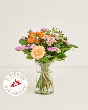 Vänskap Utan Gränser