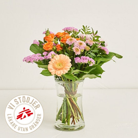 Vänskap Utan Gränser