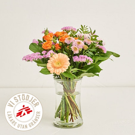 Vänskap Utan Gränser