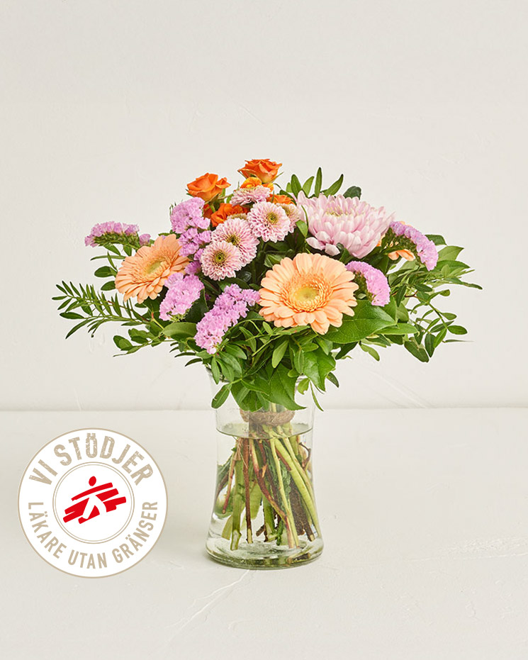 Vänskap Utan Gränser