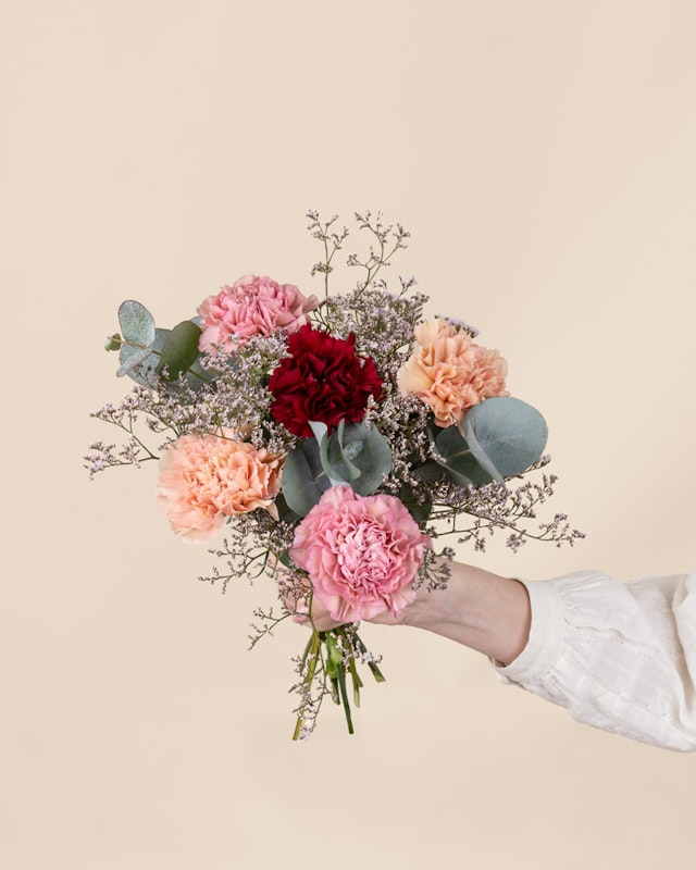 1203203-mjuk-pastell-mellan-2026-2