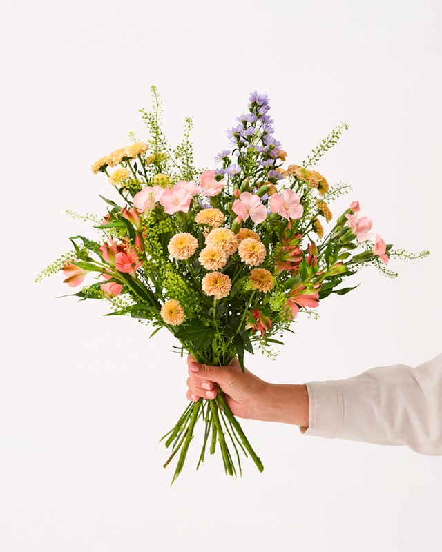 1202421-april-2026-hand