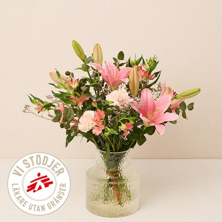 Elegant Utan Gränser