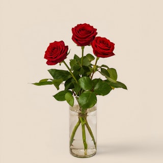 3 röda rosor