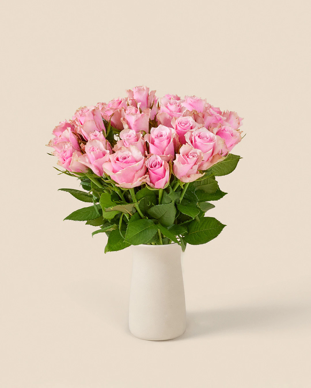 30 rosa rosor