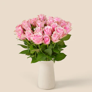 30 rosa rosor