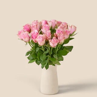 20 rosa rosor