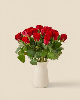 20 röda rosor