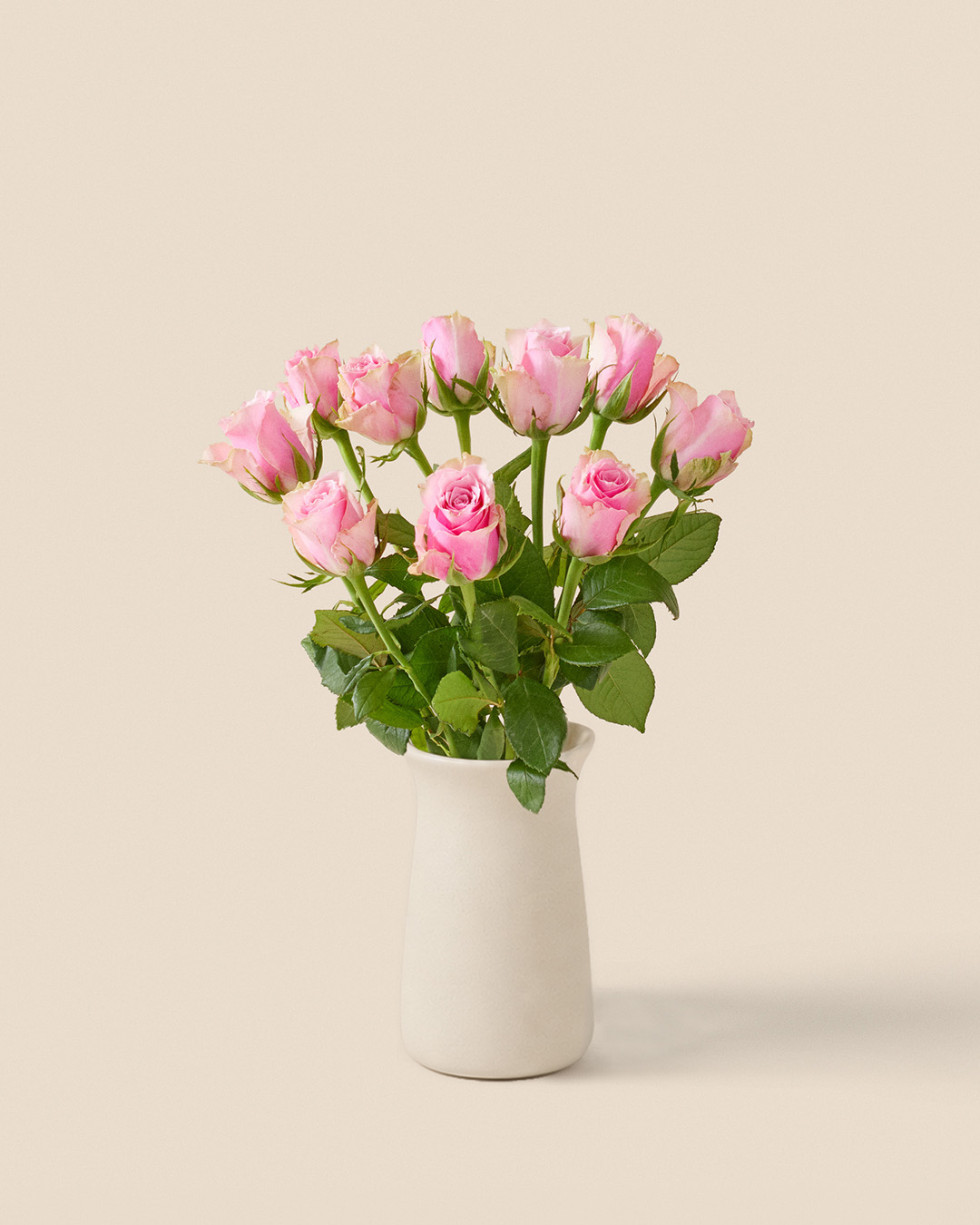 10 rosa rosor