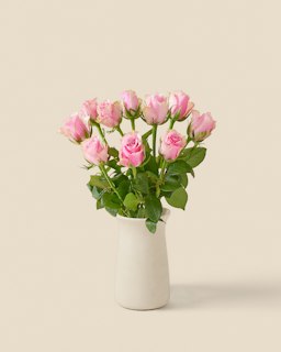 10 rosa rosor