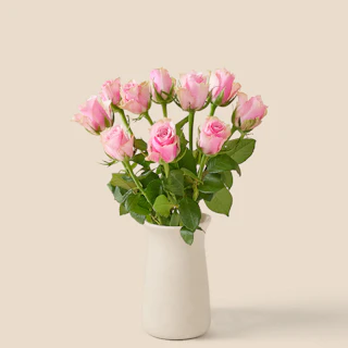 10 rosa rosor