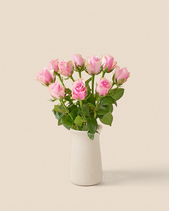 1788701384-1203310-10-rosa-rosor-2026