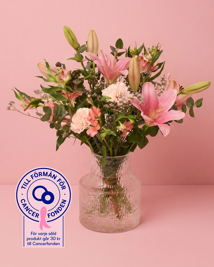 Rosa Elegans