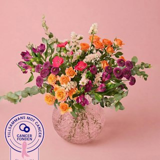 Rosa oktober