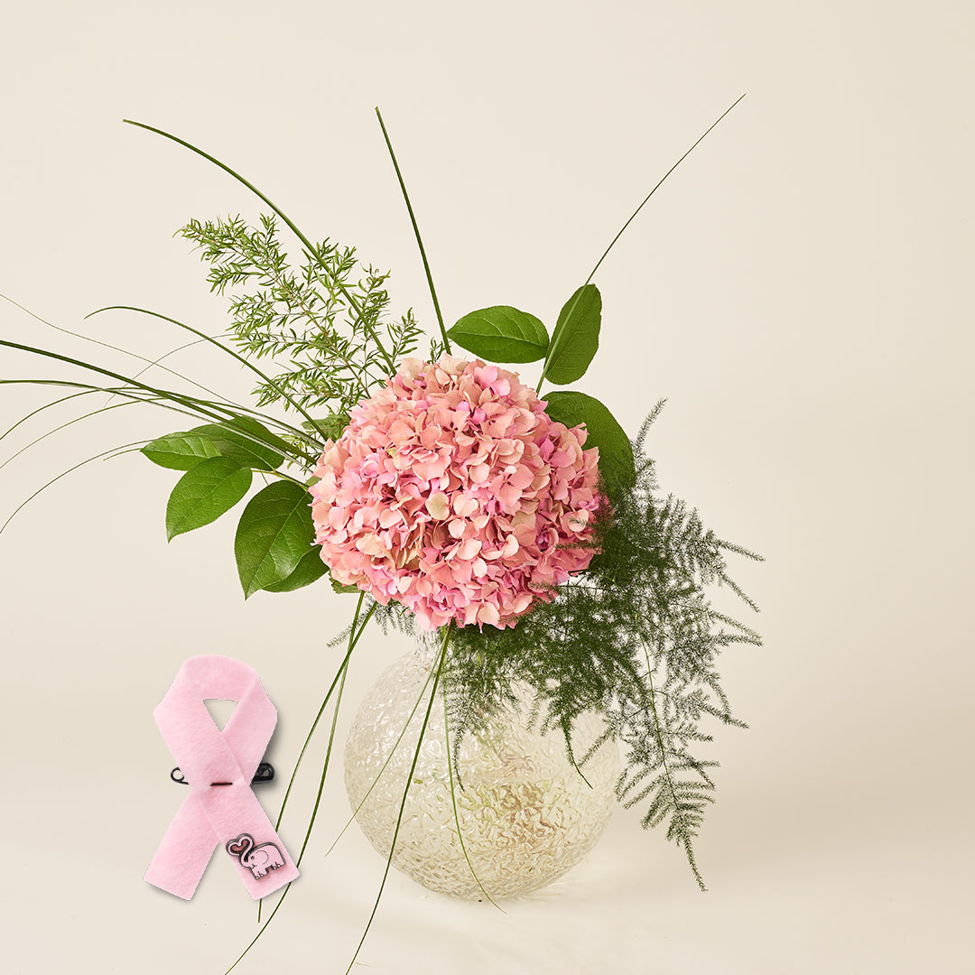 Rosa hortensia med rosa bandet