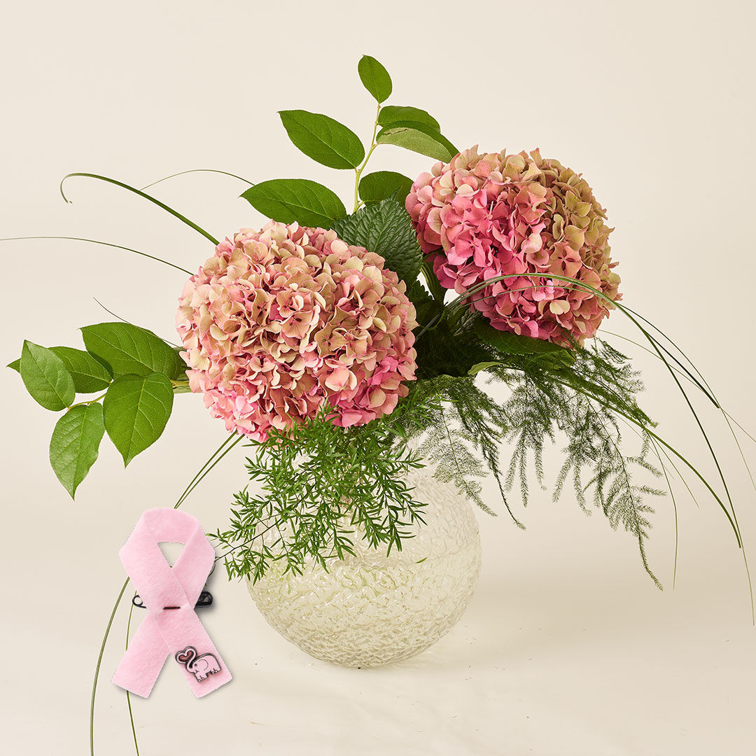 Rosa hortensia med rosa bandet