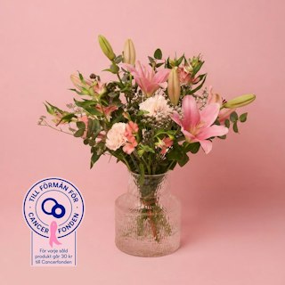 Rosa Elegans
